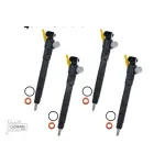 04L130277D Delphi Fuel Injector - Audi A3, Seat Leon, VW Golf 1.6 TDI